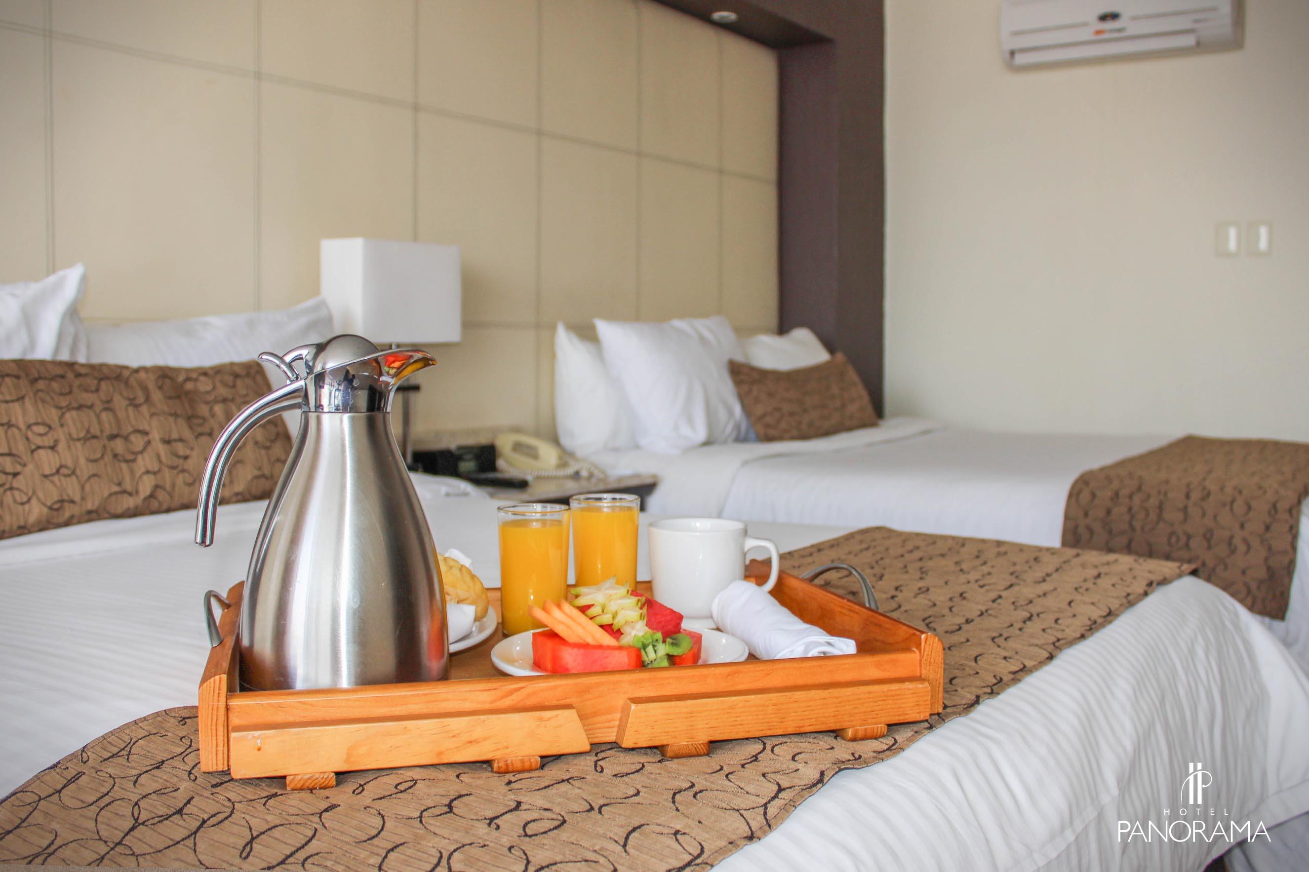 Panorama Hotel San Luis Potosi Ngoại thất bức ảnh